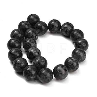Natural Larvikite Beads Strands GSR20mmC128-1