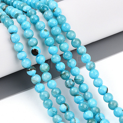 Natural Persian Jade Beads Strands G-A255-A02-04H-1