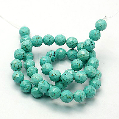 Natural Howlite Beads Strands TURQ-P027-44-1