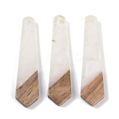 Resin & Wood Pendants WOOD-F015-05C-1