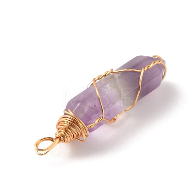 Natural Amethyst Double Terminated Pointed Pendants G-TAC0010-04G-02-1