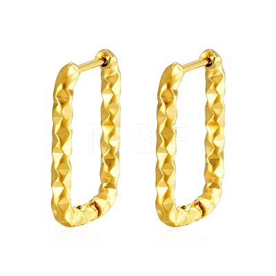 Elegant Stainless Steel Hoop Earrings IT2195-1-1