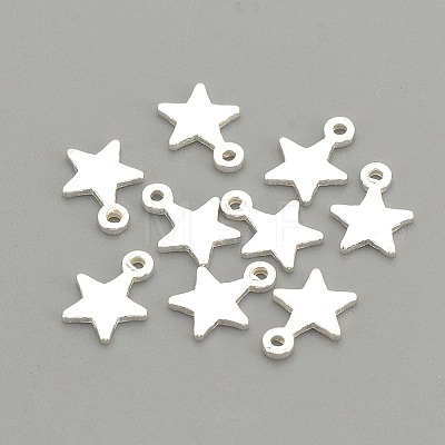 925 Sterling Silver Charms LS-STER-S002-30-1