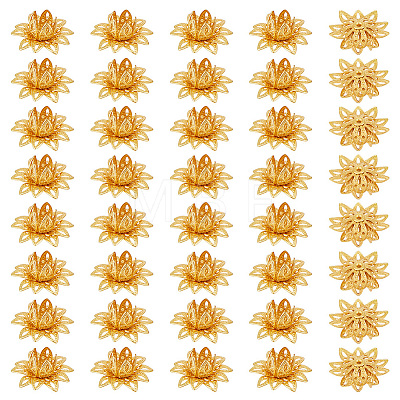 40Pcs Brass Bead Caps KK-PH0015-25G-1
