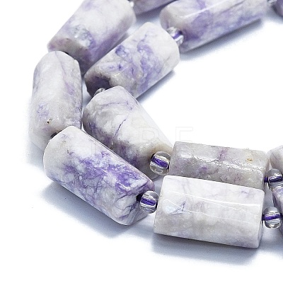 Natural Purple Turquoise Beads Strands G-K245-I09-A01-1