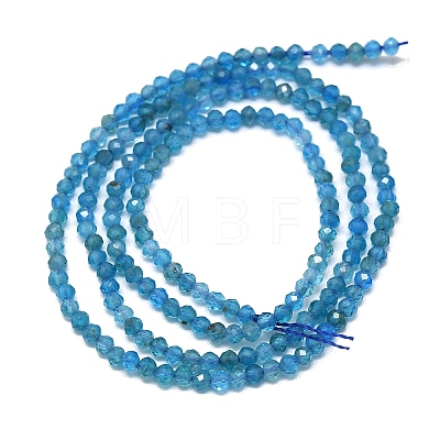 Natural Apatite Beads Strands G-G106-C06-01-1