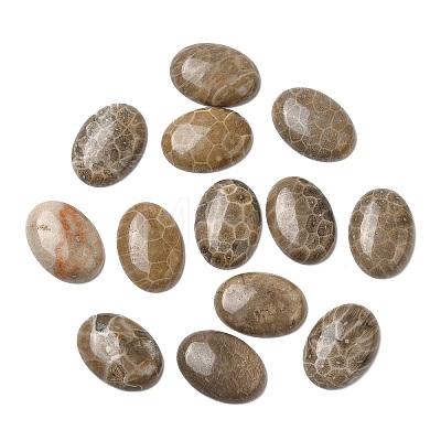 Natural Fossil Coral Cabochons G-J329-20-10x14mm-1