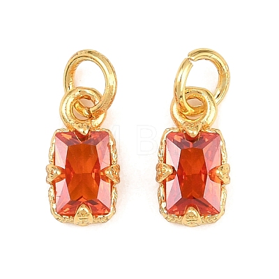 Brass Pave Cubic Zirconia Charms KK-K340-50G-1