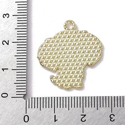 Alloy Enamel Pendants FIND-I047-01KCG-06-1
