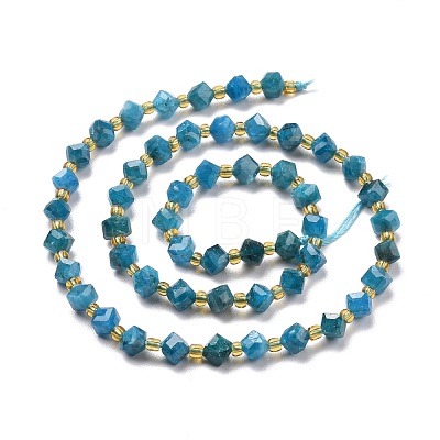 Natural Apatite Beads Strands G-P463-29-1