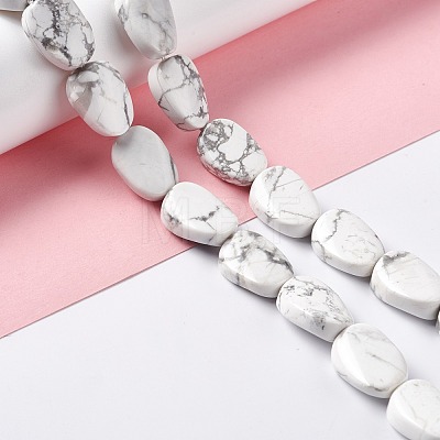 Natural Howlite Beads Strands G-M208-13-1