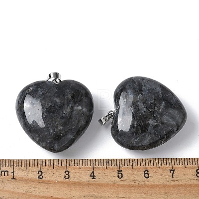 Natural Larvikite Pendants G-A259-02P-01-1