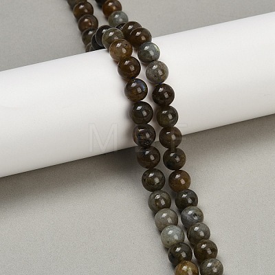 Natural Labradorite Beads Strands G-I253-01-8mm-1