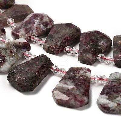 Natural Plum Blossom Tourmaline Beads Strands G-H078-A01-01-1