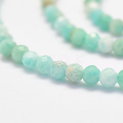 Natural Amazonite Bead Strands X-G-P279-42-3mm-1