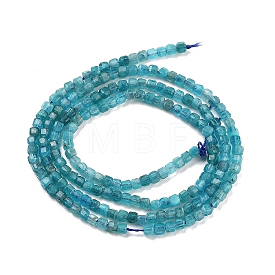 Natural Blue Apatit Beads Strands G-H042-B12-01B-1