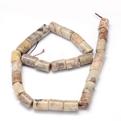 Natural Fossil Coral Prism Bead Strands G-O092-06-1