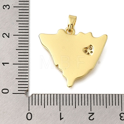 Rack Plating Brass Micro Pave Cubic Zirconia Pendants KK-M079-19G-1