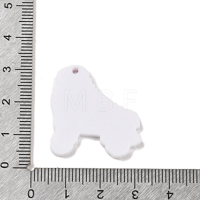 Acrylic Pendants FIND-B035-02D-1