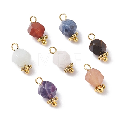 Chakra Theme Natural Tiger Eye & Rose Quartz & Amethyst & Topaz Jade & Red Agate & Amazonite & Sodalite Charms PALLOY-JF01187-1