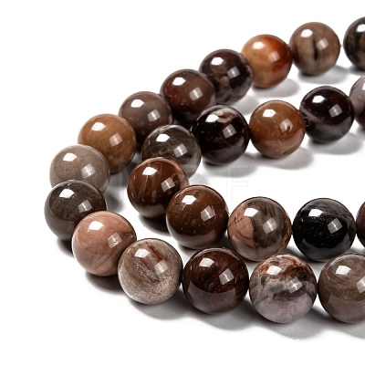 Natural Petrified Wood Round Bead Strands G-F266-08-14mm-1