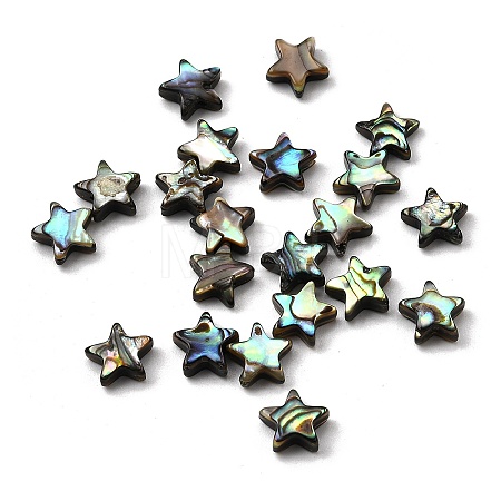 Natural Abalone Shell/Paua Shell Beads SHEL-B003-12-1