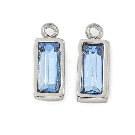 304 Stainless Steel Charm STAS-L022-242P-13-1