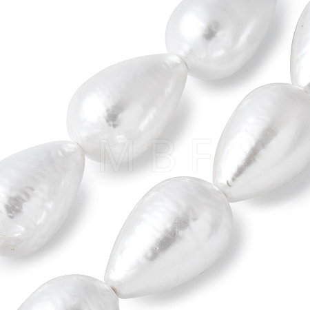 Electroplated Shell Pearl Beads Strands BSHE-F013-13-02-1