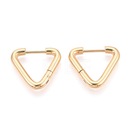 304 Stainless Steel Hoop Earrings STAS-T074-20G-1