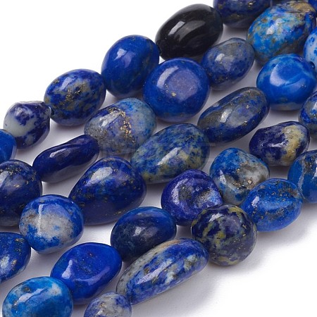 Natural Lapis Lazuli Beads Strands G-L493-40-1