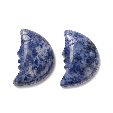 Natural Sodalite Cabochons G-E579-02I-1