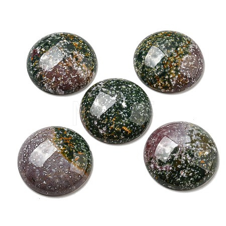 Natural Indian Agate Cabochons G-C115-02B-09-1