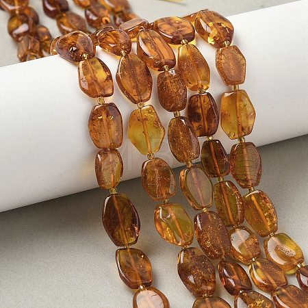 Natural Amber Beads Strands G-L095-C01-04-1