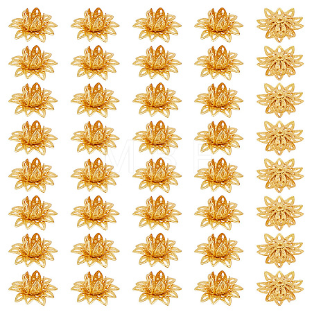 40Pcs Brass Bead Caps KK-PH0015-25G-1
