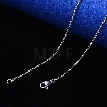 Non-Tarnish 304 Stainless Steel Curb Chain Necklace NJEW-S420-001C-P-1