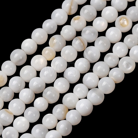 Natural Freshwater Shell Beads Strands SH-CBA2978-07D-02-1