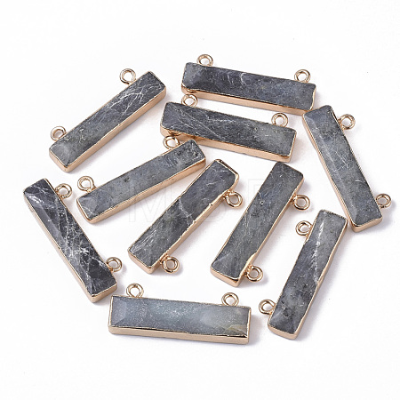 Natural Labradorite Charms G-S359-012B-1