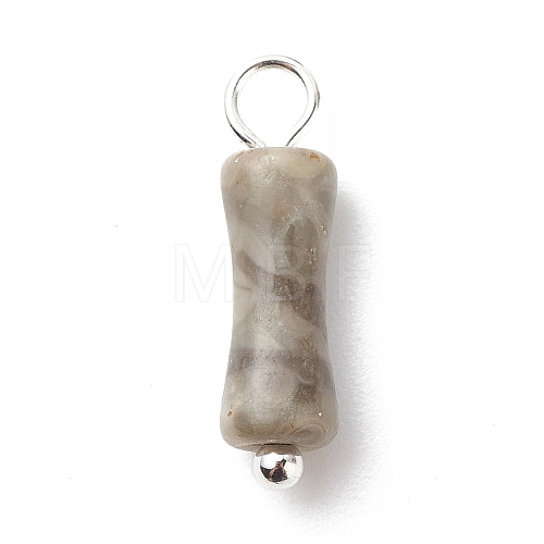 Natural Fossil Pendants PALLOY-JF01839-02-1