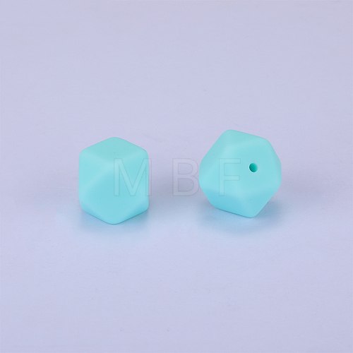 Hexagonal Silicone Focal Beads SI-JX0020A-82-1