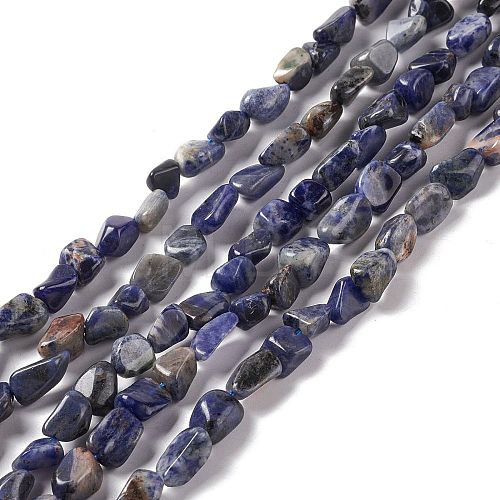 Natural Sodalite Beads Strands G-E115-01-1