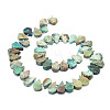 Natural African Turquoise(Jasper) Beads Strands G-E569-R04-2