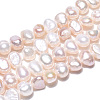 Natural Cultured Freshwater Pearl Beads Strands X-PEAR-N014-04D-01-3