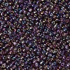 8/0 Glass Seed Beads X1-SEED-A007-3mm-176-2