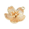 Brass Pendants KK-D263-01G-05-2