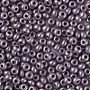 6/0 Czech Opaque Glass Seed Beads SEED-N004-003D-06-4