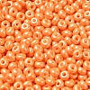 Baking Paint Luster Glass Seed Beads X1-SEED-B001-04A-10-3