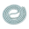 Baking Paint Glass Pearl Beads Strands LS-DGLA-ZX001-05B-14-2