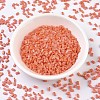 MIYUKI Half TILA Beads SEED-X0054-HTL406FR-2