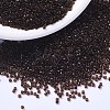 MIYUKI Delica Beads X-SEED-J020-DB1393-1
