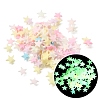 Luminous Handmade Polymer Clay Cabochons PY-CBA5A20-20-1